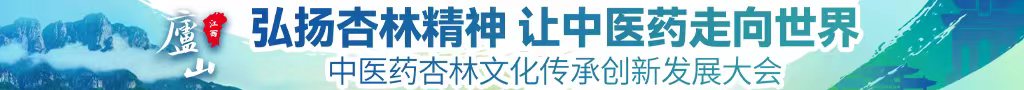 黑白丝被日中医药杏林文化传承创新发展大会